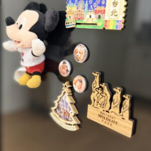 Custom Fridge Magnets